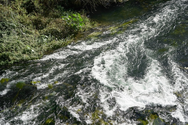 A river in the nature