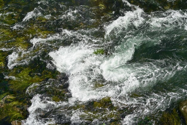 A river in the nature