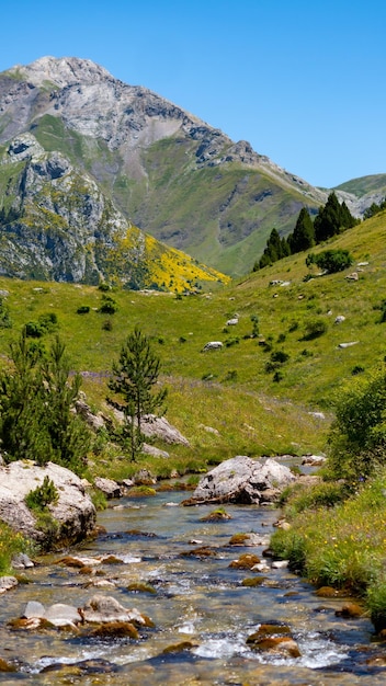 River in the Otal valley with beautiful green hills in Spain