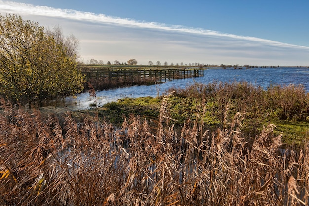 River overflowing after heavy rain near Ely