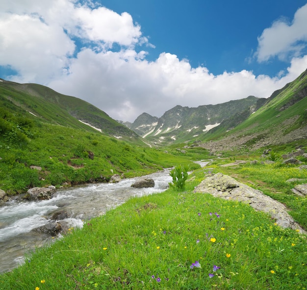 사진 산골짜기에서 강 파노라마