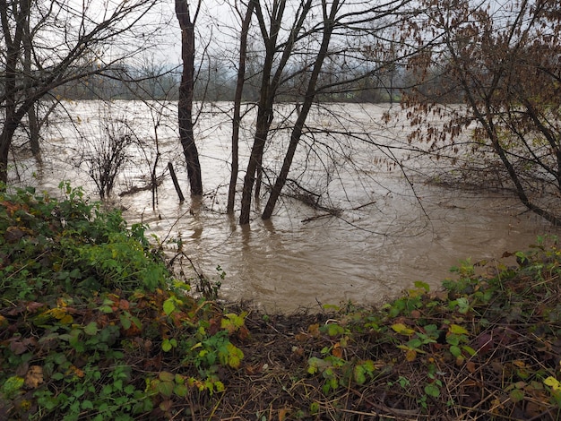 Photo river po flood in turin