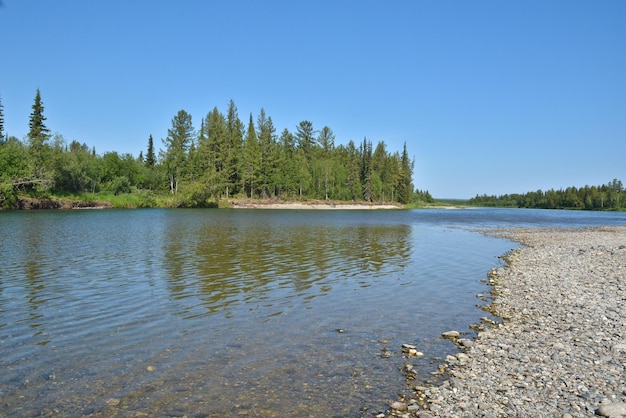 Река Полярного Урала