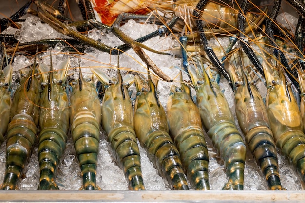 River prawns on sale on market in Thailand