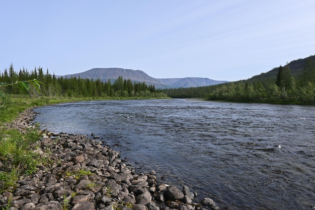 A river on the Putorana plateau