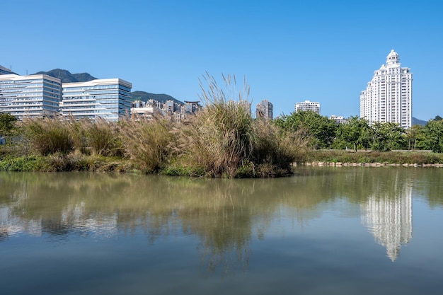 The river reflects the modern city buildings under the blue sky