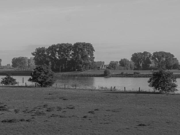 the river rhine in germany