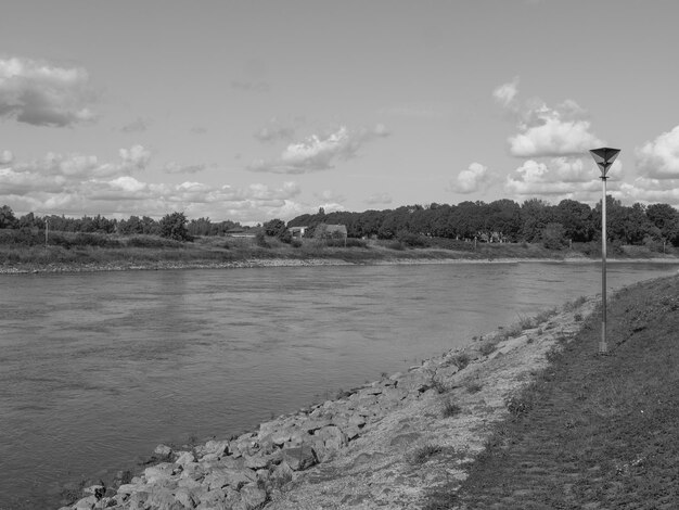 the river rhine