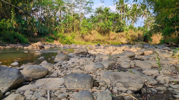 river rocks wallpaper