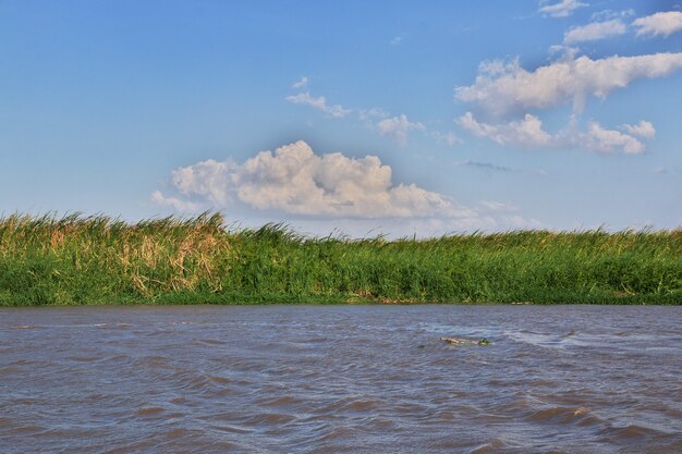 The river in Rosario nature reserve close Cartagena, Colombia