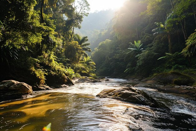 Photo a river running through a lush green forest