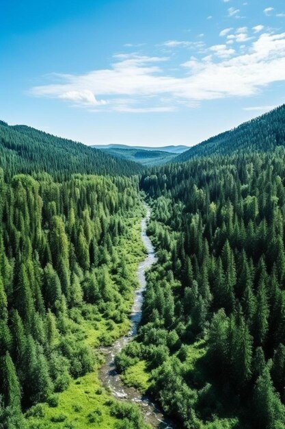 Photo a river runs through a forest with a river running through it