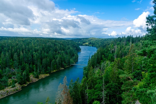 Photo a river runs through a forest with a view of the mountains and trees.