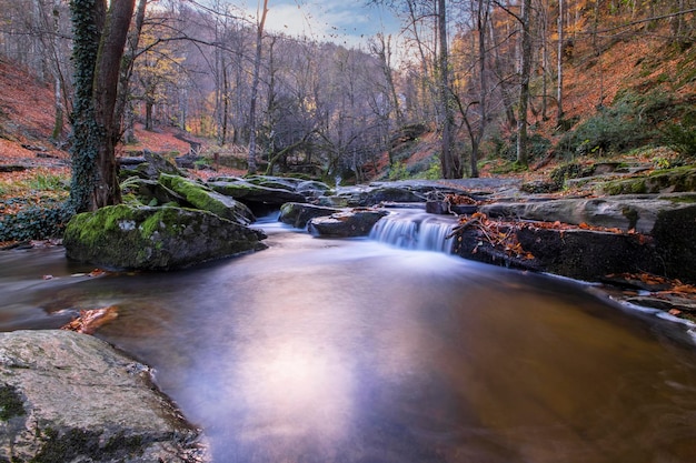 A river runs through the forest with a waterfall in the foreground.