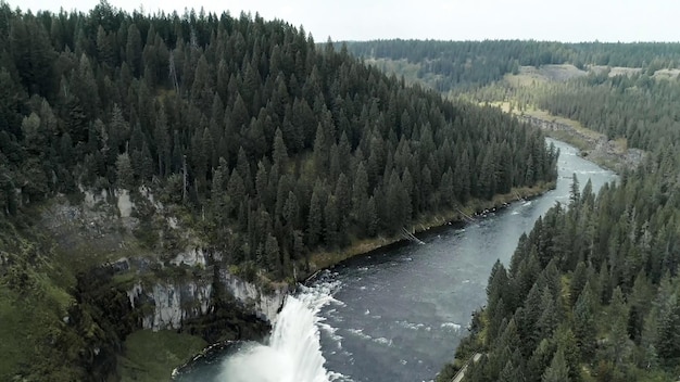 A river runs through a forest with a waterfall in the foreground.