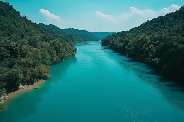 a river runs through a forest