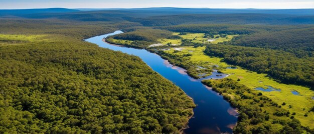 Река протекает через лес.