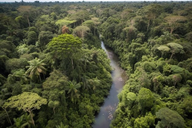 Река проходит через джунгли