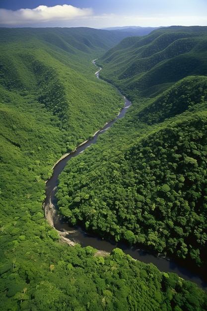 A river runs through the jungles of belize.