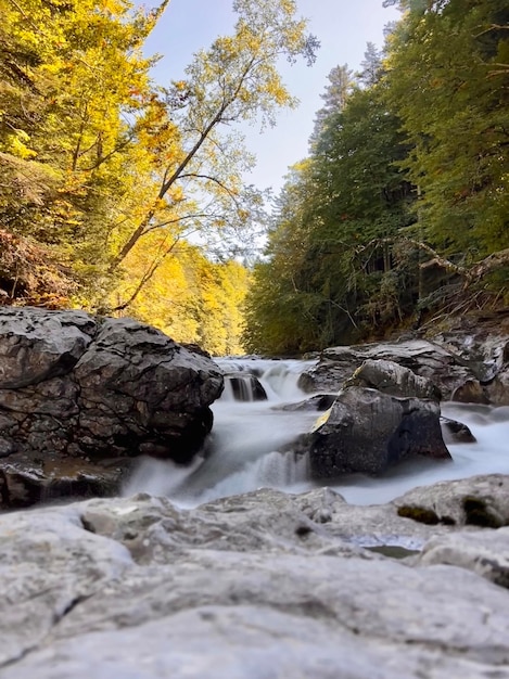 Foto un fiume attraversa un paesaggio roccioso con alberi sullo sfondo.