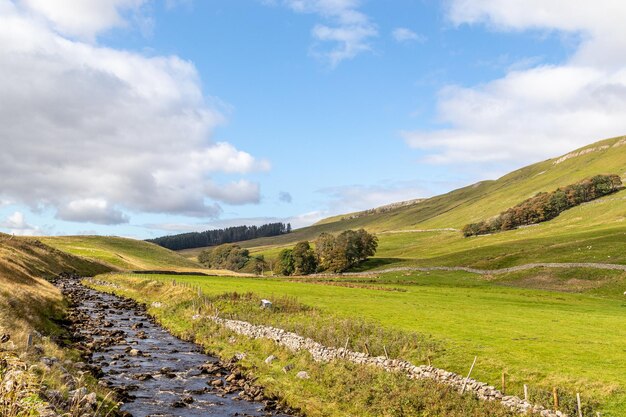 A river runs through a valley with trees and hills in the background.