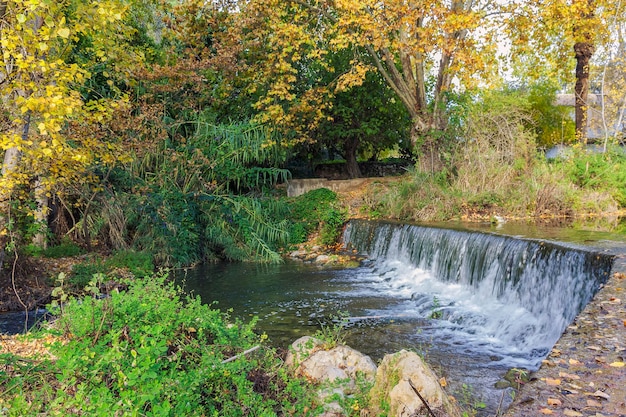 A river runs through the woods with a waterfall in the foreground