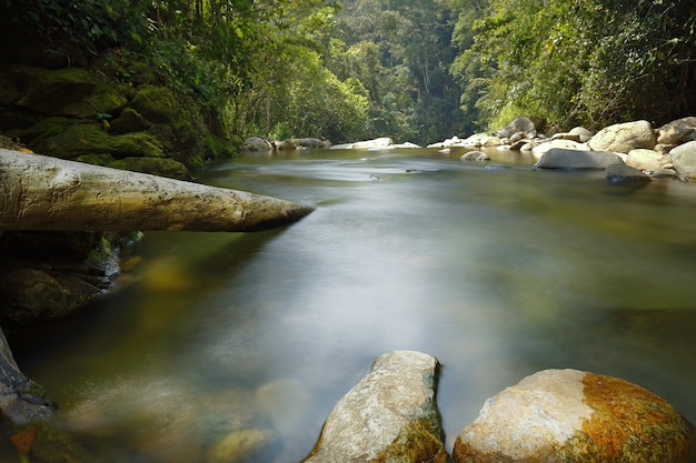 River in san martin de pangoa