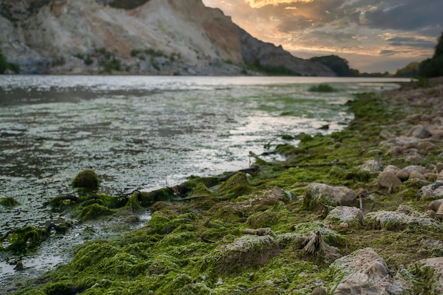 river scenery at dawn on a cloudy day