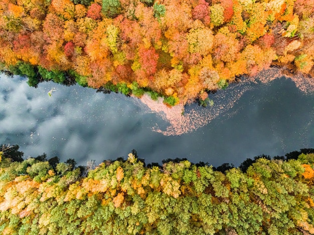 River separating the yellow autumn and green summer forest