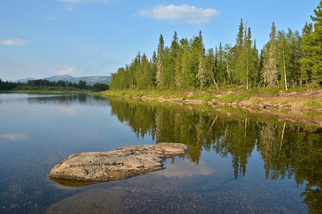 Fiume shchugor nel parco nazionale yugyd va