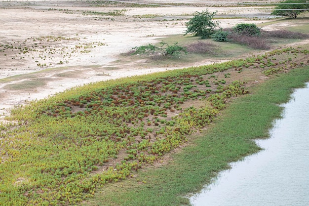 인도 의 강변 에 있는 개방 된 땅
