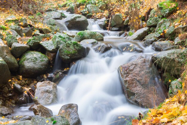 River, silk effect, fallen leaves.