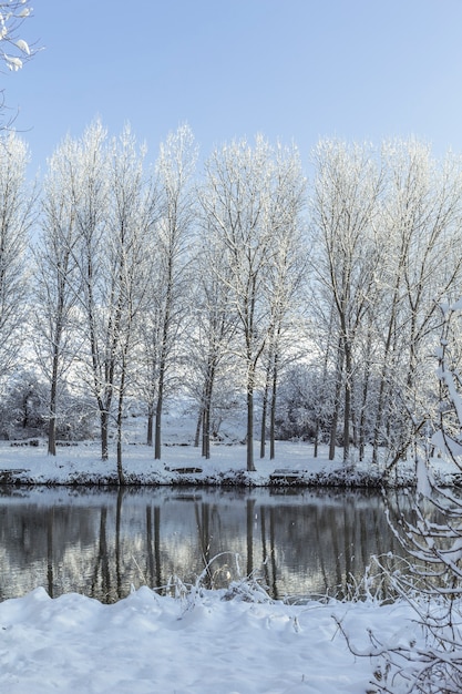 Photo river and snowy landscape