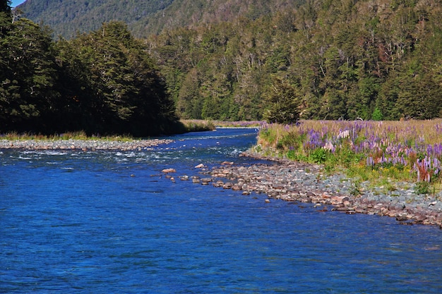 River of South island, New Zealand