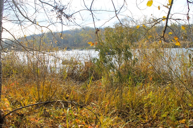 River Southern Bug in Ukraine on autumn