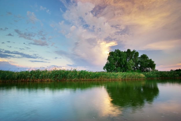 River and spring forest