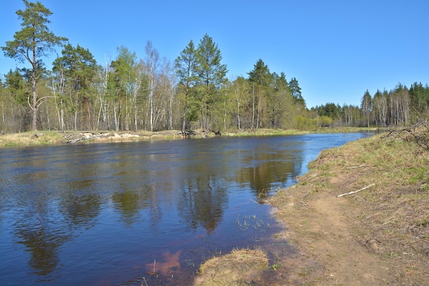 River spring landscape