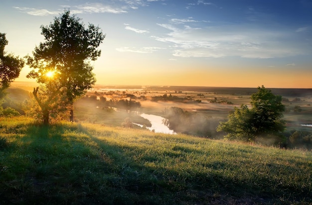 River in steppe at beautiful sunrise in summer