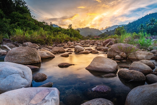 River stone, and tree with sky and cloud colorful. View water, river tree, Stone river, and tree leaf in forest