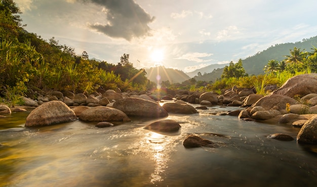 River stone and tree with sun beam, View water river tree, Stone river and sun ray in forest