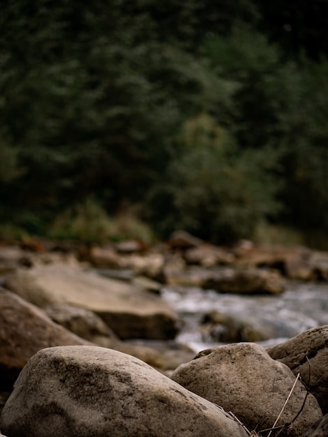 River stones on the background of the forest. Natural background