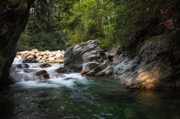 River stream in the natural canyon during the summer time Canadian Nature Background