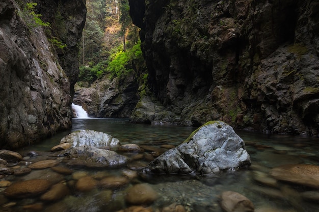 River stream in the natural canyon during the summer time Canadian Nature Background