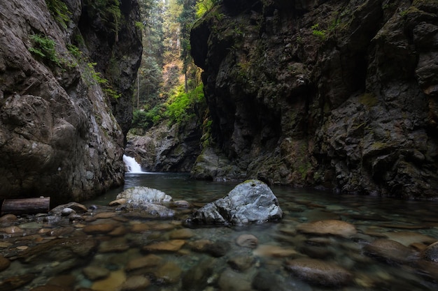 River stream in the natural canyon during the summer time Canadian Nature Background