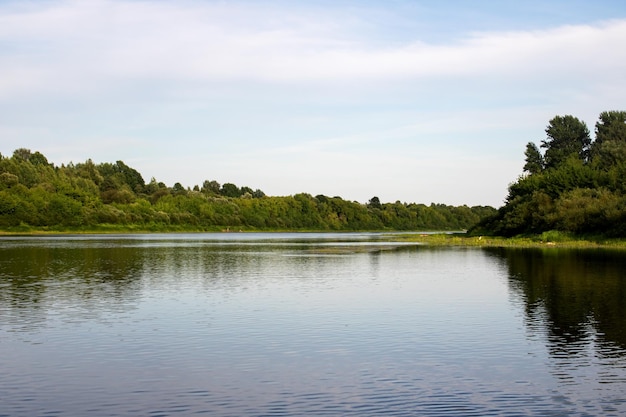 River and summer forest view under blue sky