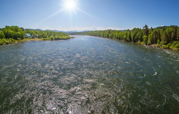 River on a summer sunny day