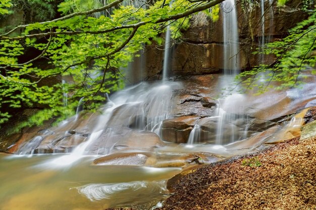 River surrounded by stones in forest