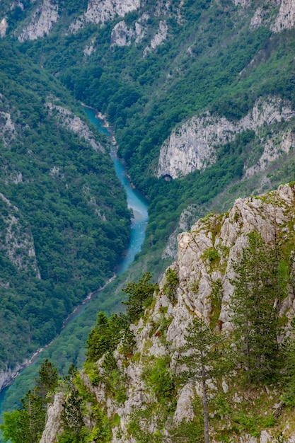 Река Тара протекает в глубине каньона среди гор.