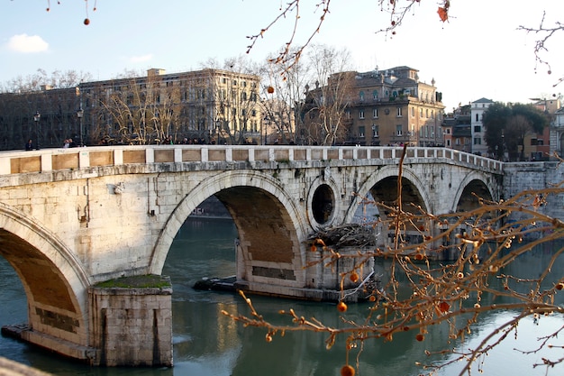 Fiume tevere a roma, italia