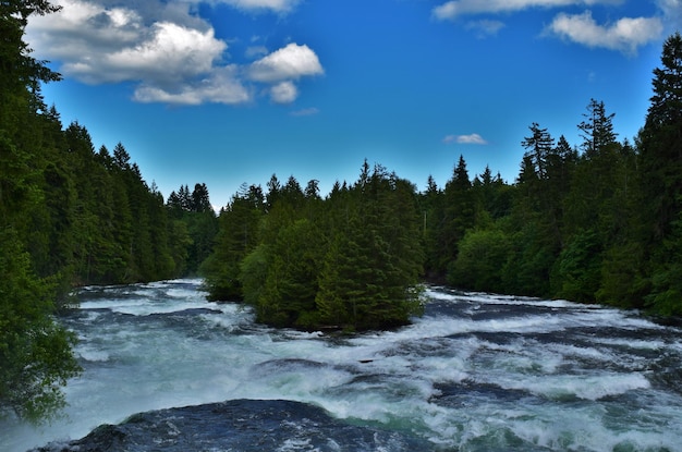 river and trees against sky
